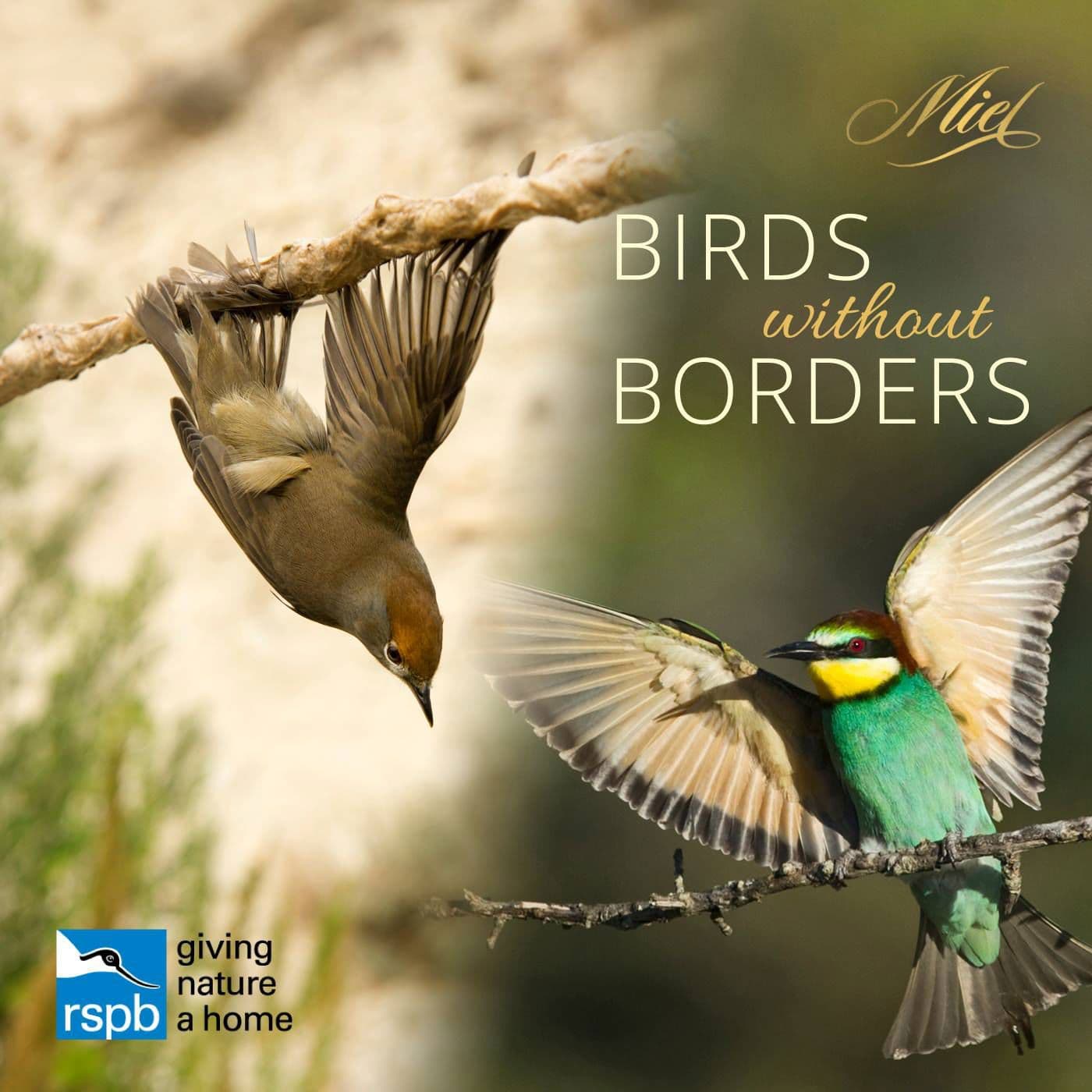 “Birds without Borders” – in association with the RSPB