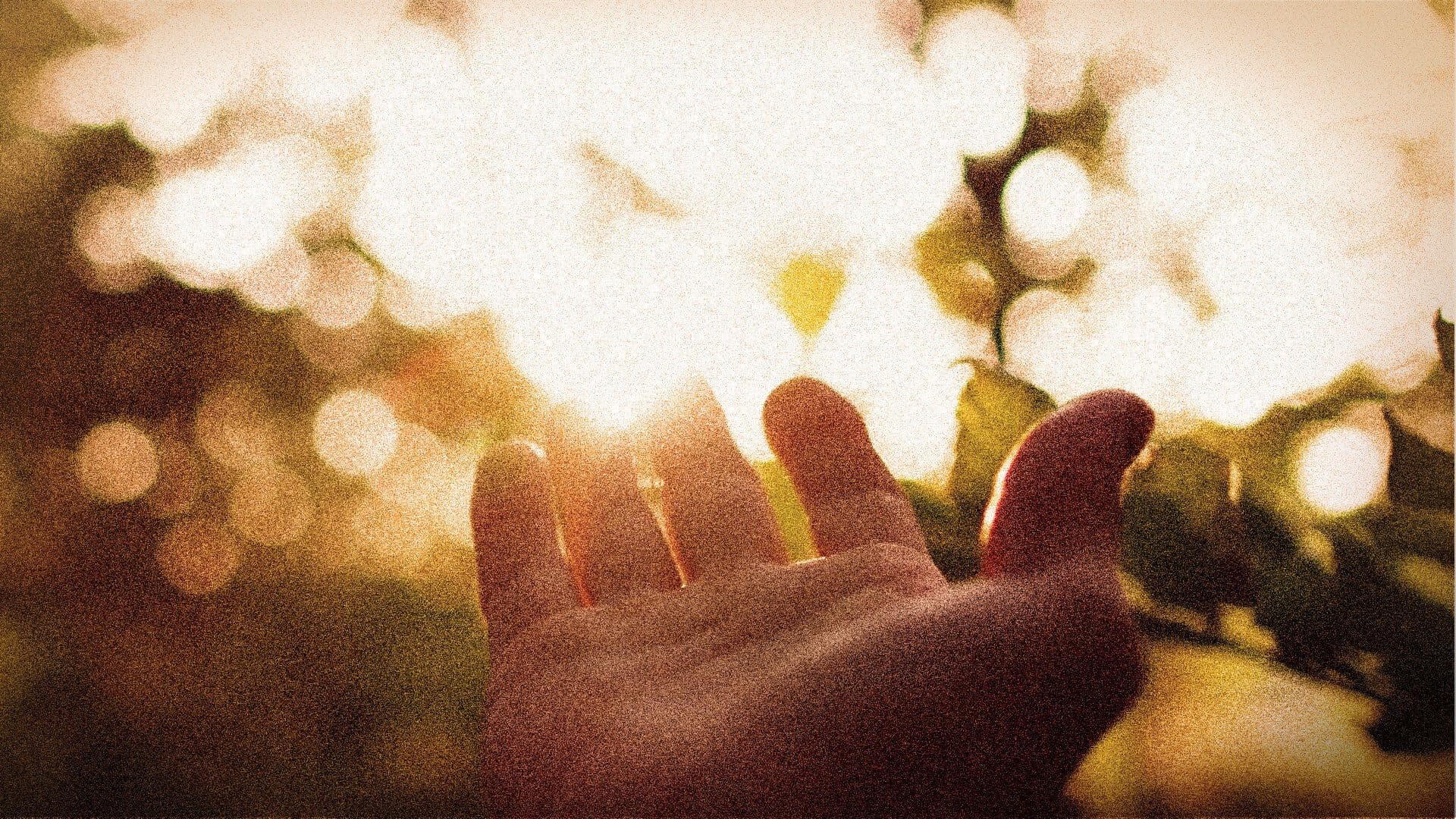 Miel de Botton Releases Stunning Lyric Video to Song “Forest Prayer” 
