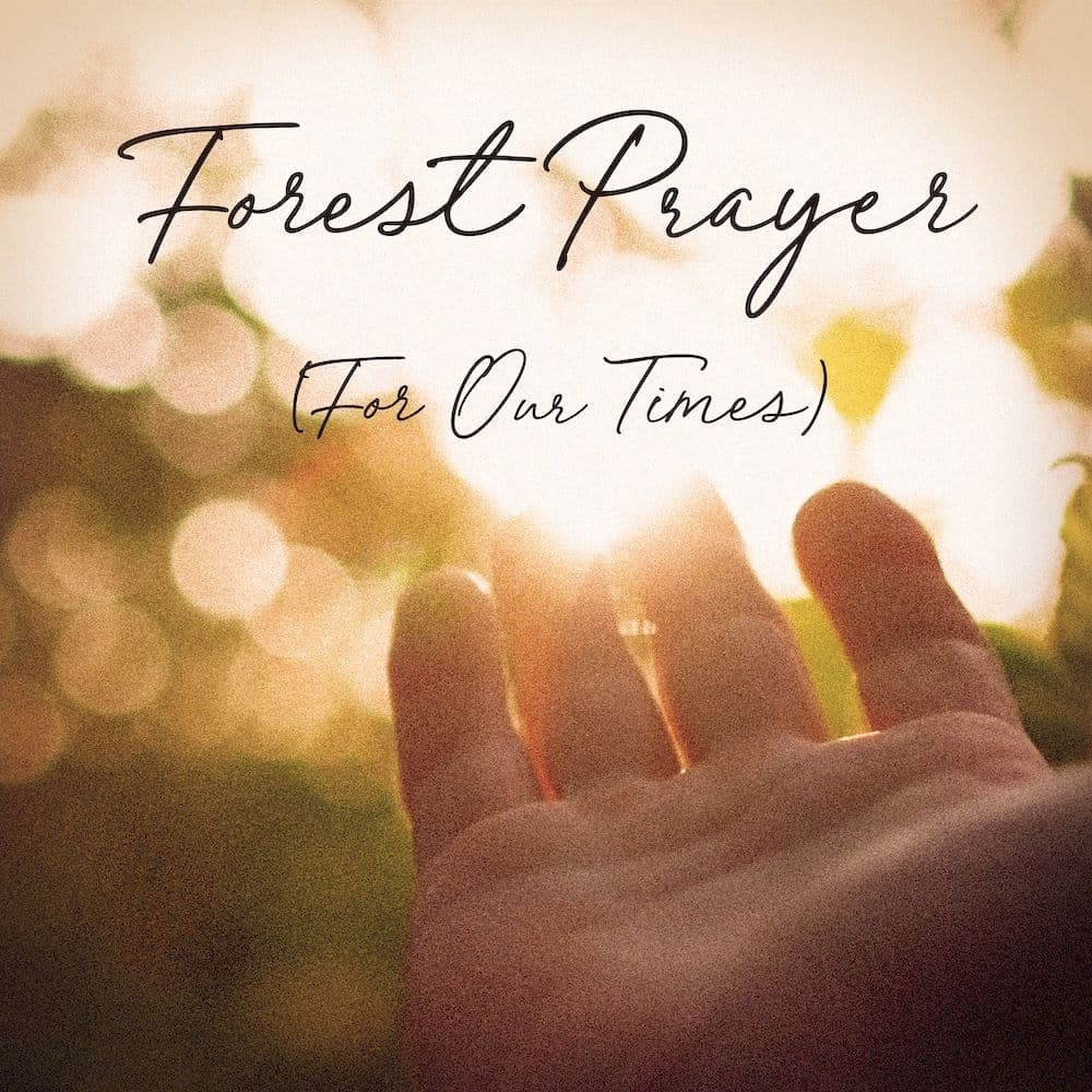 Forest Prayer (For Our Times) Lyric Video